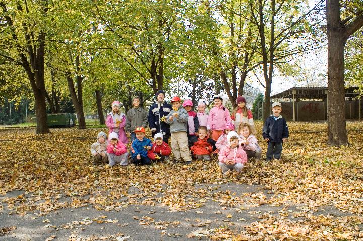 Óvoda20080012.jpg - KONICA MINOLTA DIGITAL CAMERA