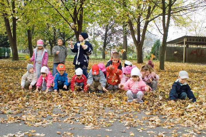 Óvoda20080013.jpg - KONICA MINOLTA DIGITAL CAMERA