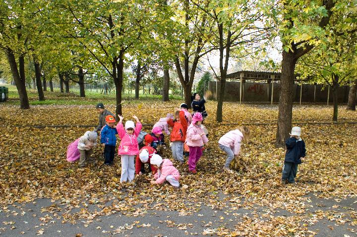 Óvoda20080014.jpg - KONICA MINOLTA DIGITAL CAMERA